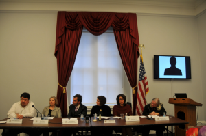 Janice Helwig (Helsinki Commission), Rachel Dember (Human Rights Watch), Catherine Fitzpatrick (Independent Expert)